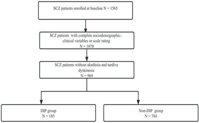 Risk factors, clinical correlates, and social functions of Chinese schizophrenia patients with drug-induced parkinsonism: A cross-sectional analysis of a multicenter, observational, real-world, prospective cohort study